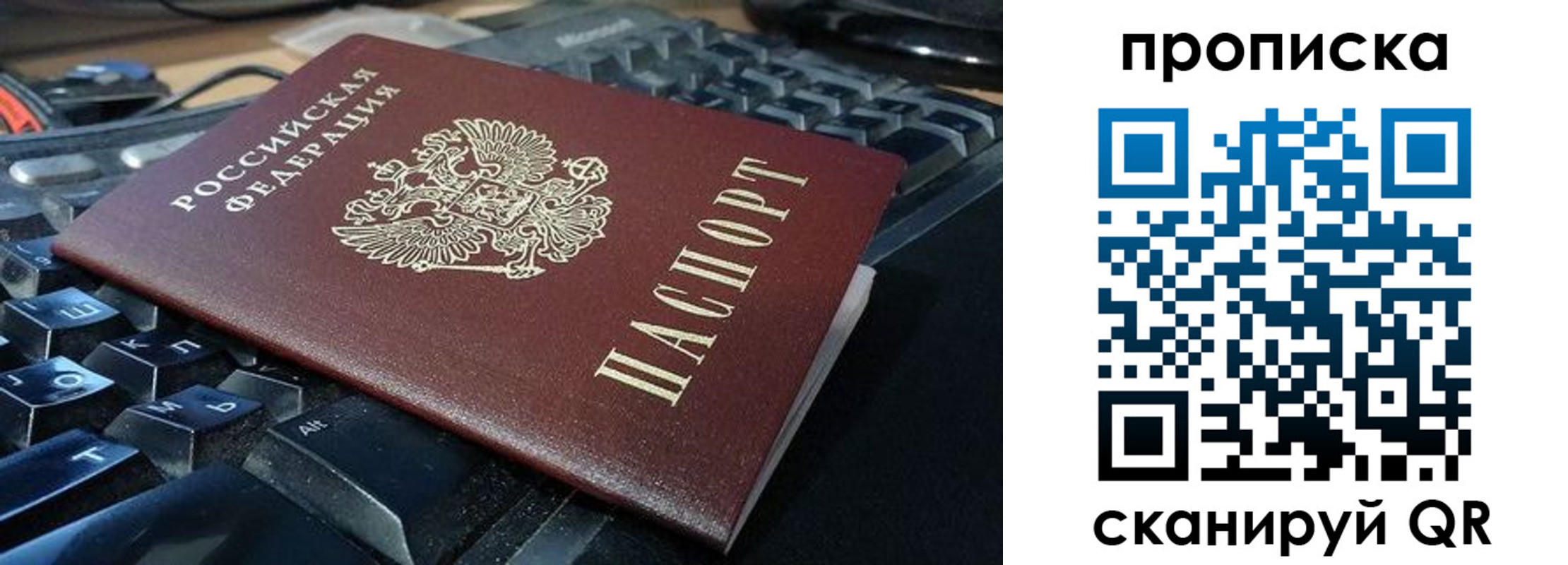 прописка иностранных граждан в Невеле